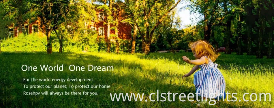 Mono 700W 800W Solar Panels Photovoltaic Solar Module Price for Energy Storage System